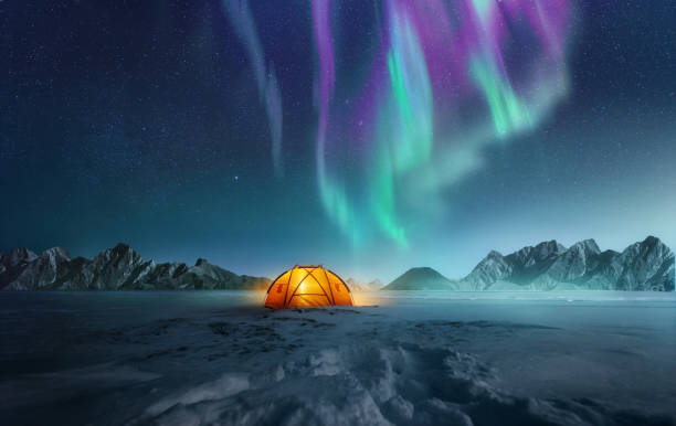 Image of northern lights over snow